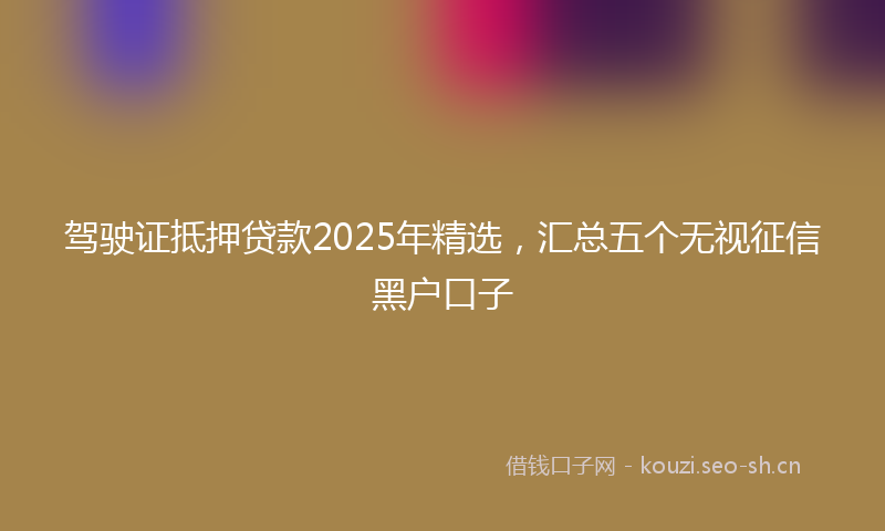 驾驶证抵押贷款2025年精选，汇总五个无视征信黑户口子