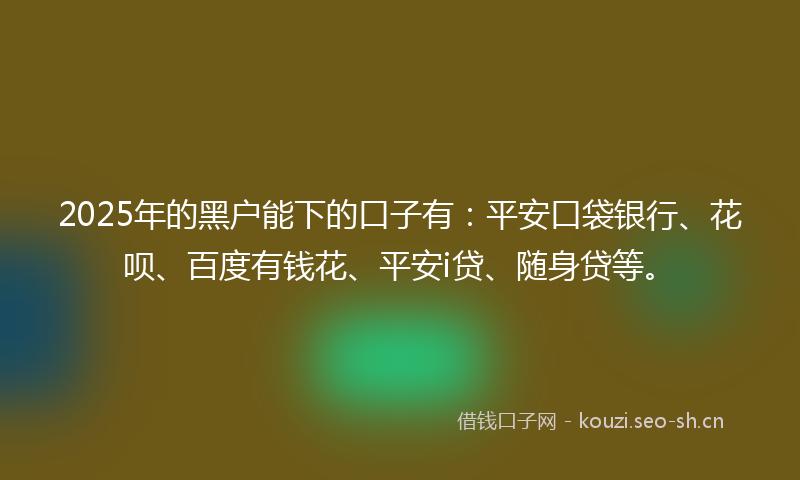 2025年的黑户能下的口子有：平安口袋银行、花呗、百度有钱花、平安i贷、随身贷等。