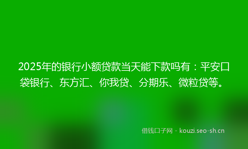 2025年的银行小额贷款当天能下款吗有：平安口袋银行、东方汇、你我贷、分期乐、微粒贷等。