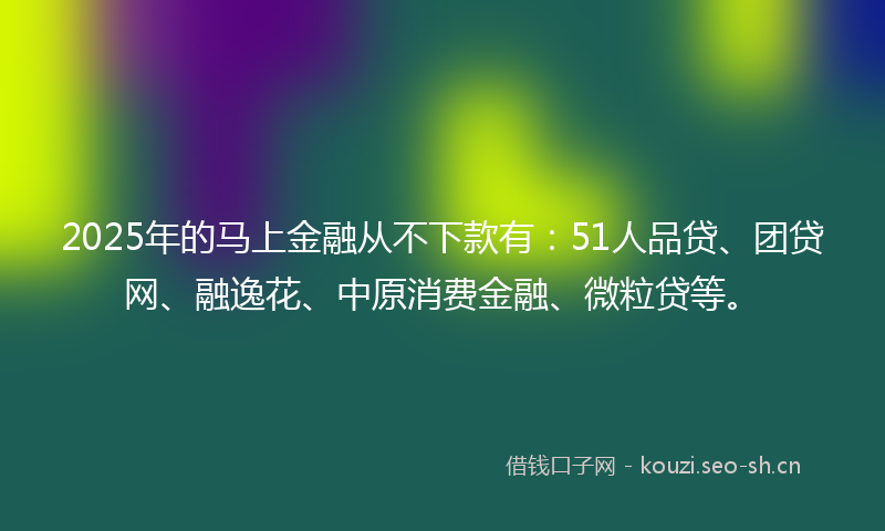 2025年的马上金融从不下款有：51人品贷、团贷网、融逸花、中原消费金融、微粒贷等。