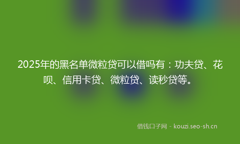 2025年的黑名单微粒贷可以借吗有：功夫贷、花呗、信用卡贷、微粒贷、读秒贷等。