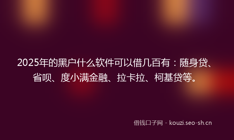 2025年的黑户什么软件可以借几百有：随身贷、省呗、度小满金融、拉卡拉、柯基贷等。