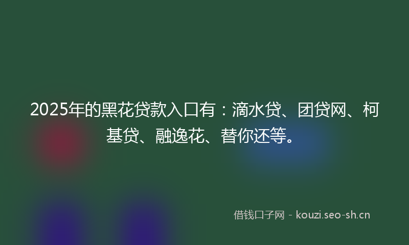 2025年的黑花贷款入口有：滴水贷、团贷网、柯基贷、融逸花、替你还等。