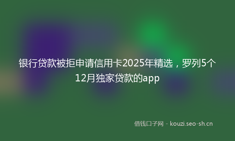 银行贷款被拒申请信用卡2025年精选，罗列5个12月独家贷款的app
