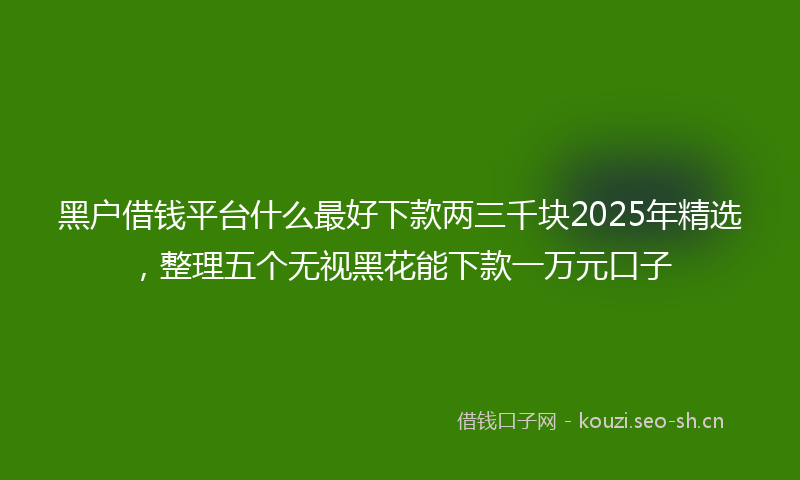 黑户借钱平台什么最好下款两三千块2025年精选，整理五个无视黑花能下款一万元口子