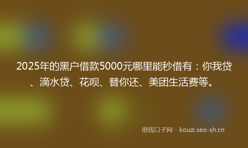 2025年的黑户借款5000元哪里能秒借有:你我贷、滴水贷、花呗、替你还、美团生活费等。