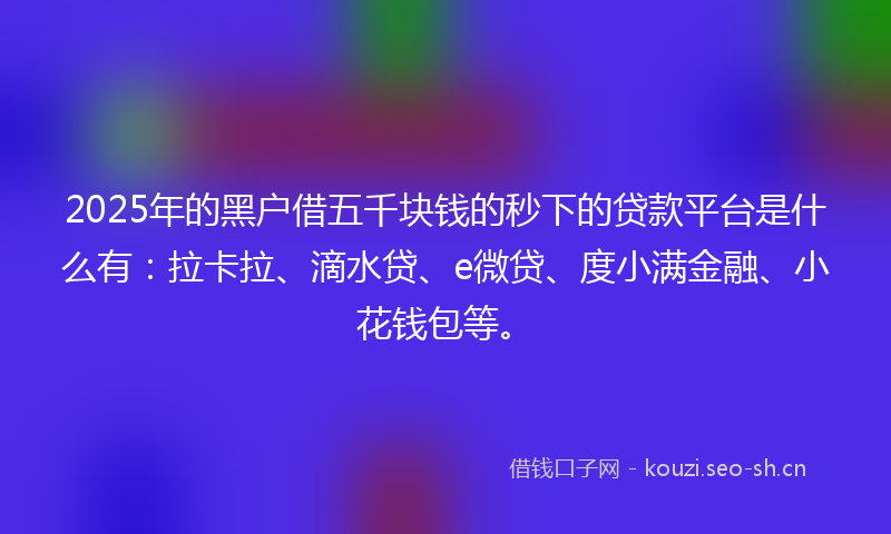 2025年的黑户借五千块钱的秒下的贷款平台是什么有：拉卡拉、滴水贷、e微贷、度小满金融、小花钱包等。