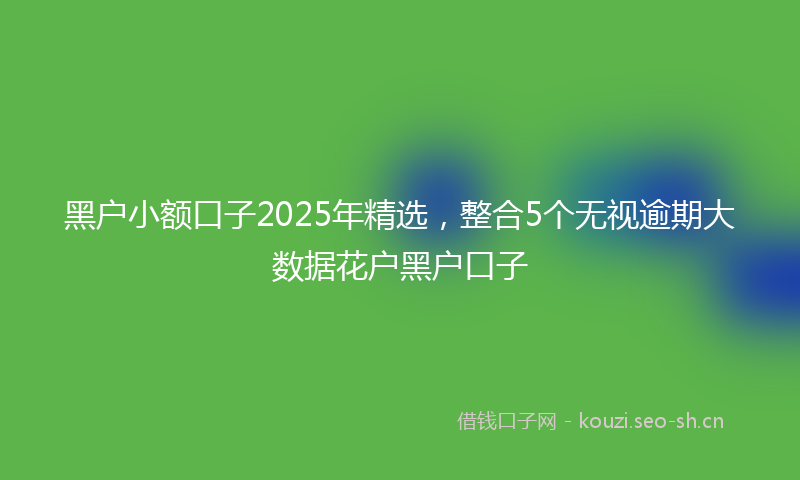 黑户小额口子2025年精选,整合5个无视逾期大数据花户黑户口子