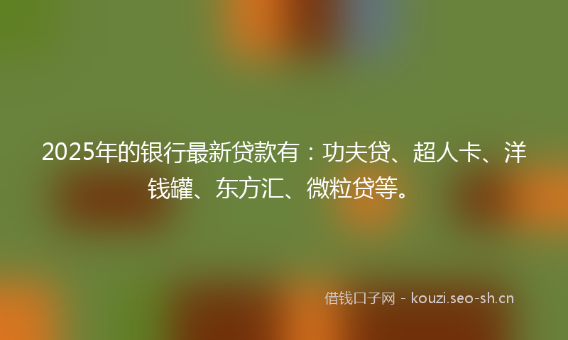 2025年的银行最新贷款有：功夫贷、超人卡、洋钱罐、东方汇、微粒贷等。