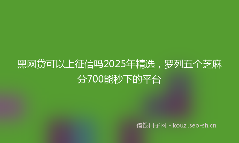 黑网贷可以上征信吗2025年精选,罗列五个芝麻分700能秒下的平台
