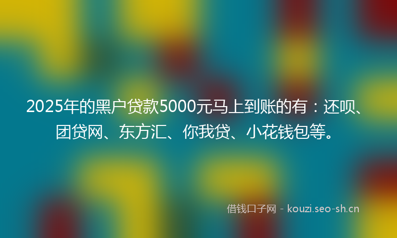 2025年的黑户贷款5000元马上到账的有:还呗、团贷网、东方汇、你我贷、小花钱包等。