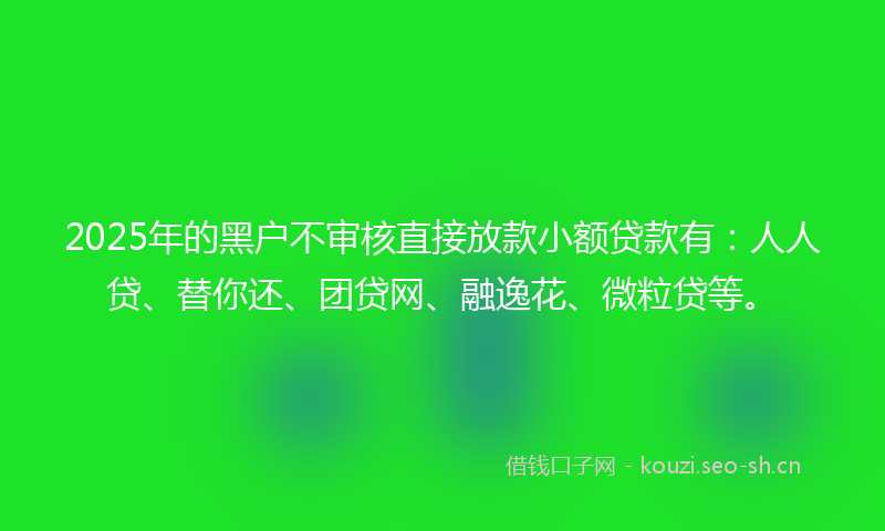 2025年的黑户不审核直接放款小额贷款有：人人贷、替你还、团贷网、融逸花、微粒贷等。