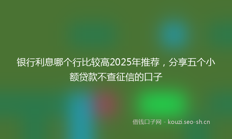 银行利息哪个行比较高2025年推荐，分享五个小额贷款不查征信的口子