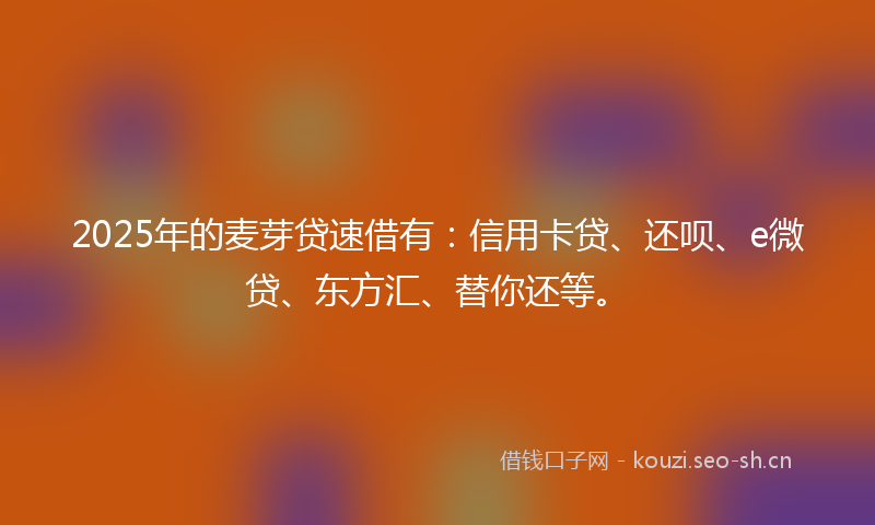 2025年的麦芽贷速借有：信用卡贷、还呗、e微贷、东方汇、替你还等。
