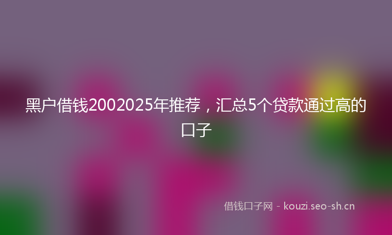 黑户借钱2002025年推荐，汇总5个贷款通过高的口子