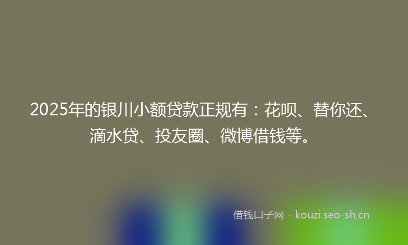 2025年的银川小额贷款正规有：花呗、替你还、滴水贷、投友圈、微博借钱等。