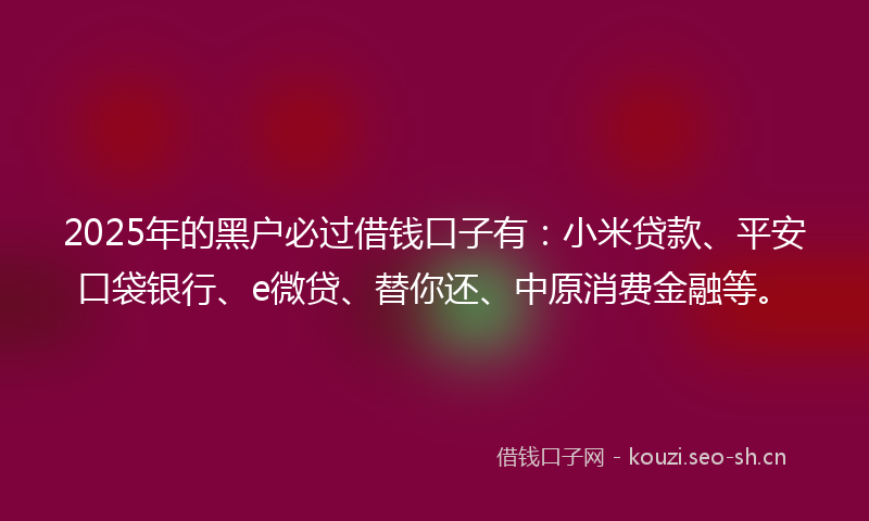 2025年的黑户必过借钱口子有：小米贷款、平安口袋银行、e微贷、替你还、中原消费金融等。
