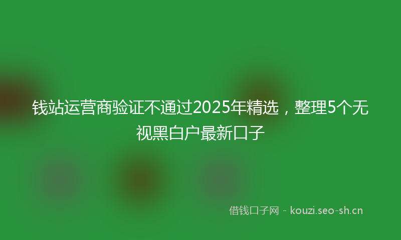 钱站运营商验证不通过2025年精选，整理5个无视黑白户最新口子