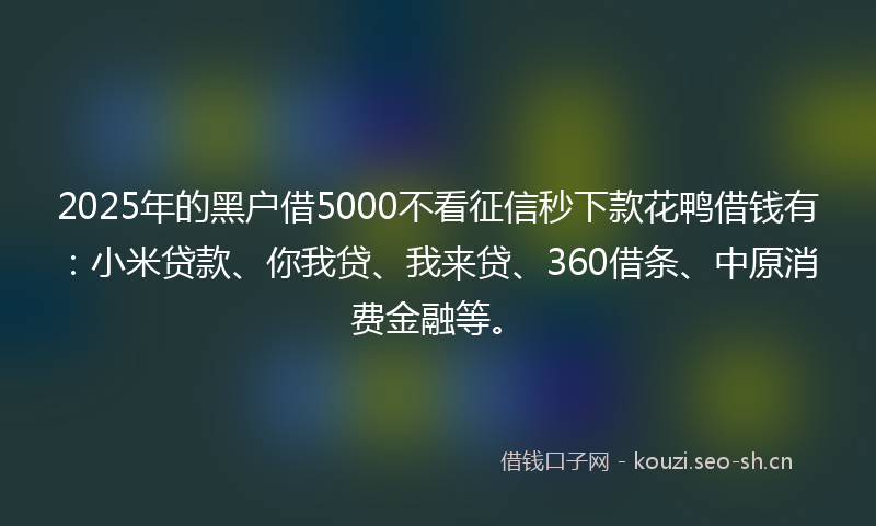 2025年的黑户借5000不看征信秒下款花鸭借钱有：小米贷款、你我贷、我来贷、360借条、中原消费金融等。