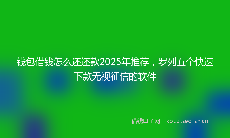 钱包借钱怎么还还款2025年推荐，罗列五个快速下款无视征信的软件