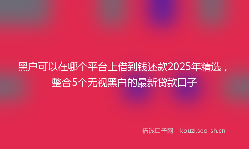 黑户可以在哪个平台上借到钱还款2025年精选，整合5个无视黑白的最新贷款口子