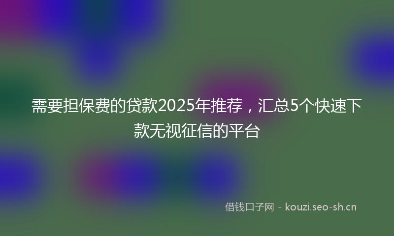 需要担保费的贷款2025年推荐，汇总5个快速下款无视征信的平台