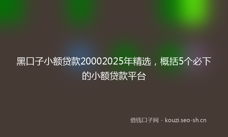 黑口子小额贷款20002025年精选，概括5个必下的小额贷款平台