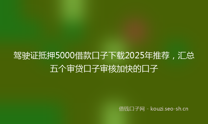 驾驶证抵押5000借款口子下载2025年推荐,汇总五个审贷口子审核加快的口子