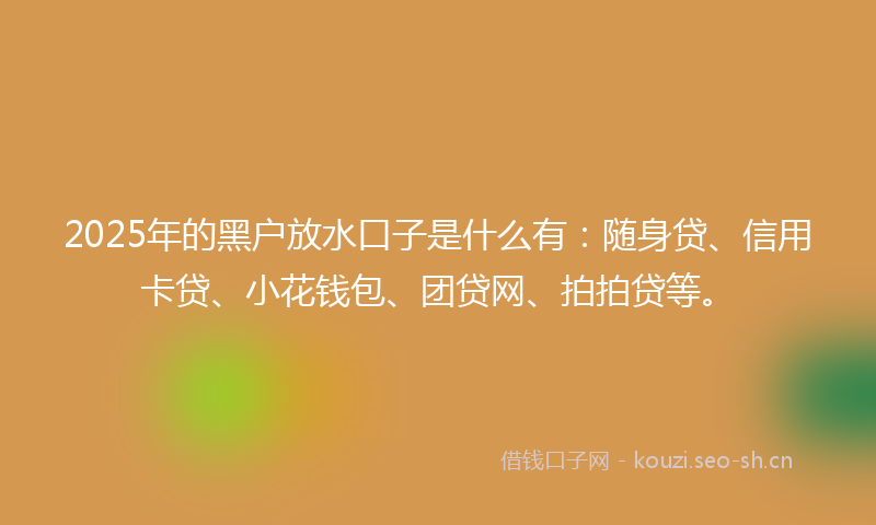 2025年的黑户放水口子是什么有：随身贷、信用卡贷、小花钱包、团贷网、拍拍贷等。