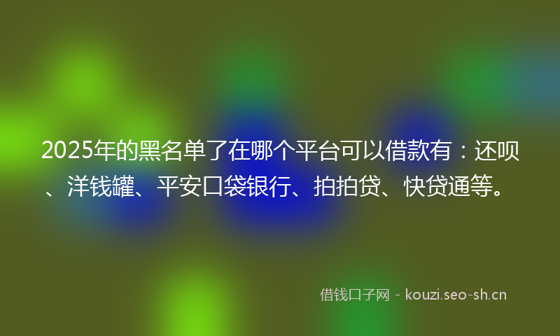 2025年的黑名单了在哪个平台可以借款有：还呗、洋钱罐、平安口袋银行、拍拍贷、快贷通等。
