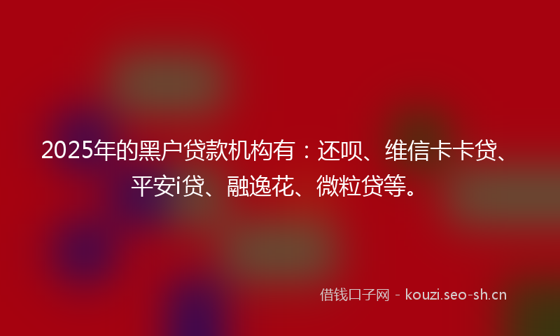 2025年的黑户贷款机构有：还呗、维信卡卡贷、平安i贷、融逸花、微粒贷等。