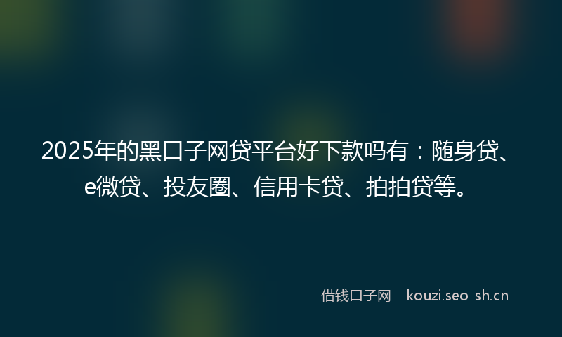 2025年的黑口子网贷平台好下款吗有：随身贷、e微贷、投友圈、信用卡贷、拍拍贷等。