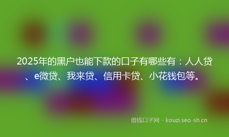2025年的黑户也能下款的口子有哪些有：人人贷、e微贷、我来贷、信用卡贷、小花钱包等。