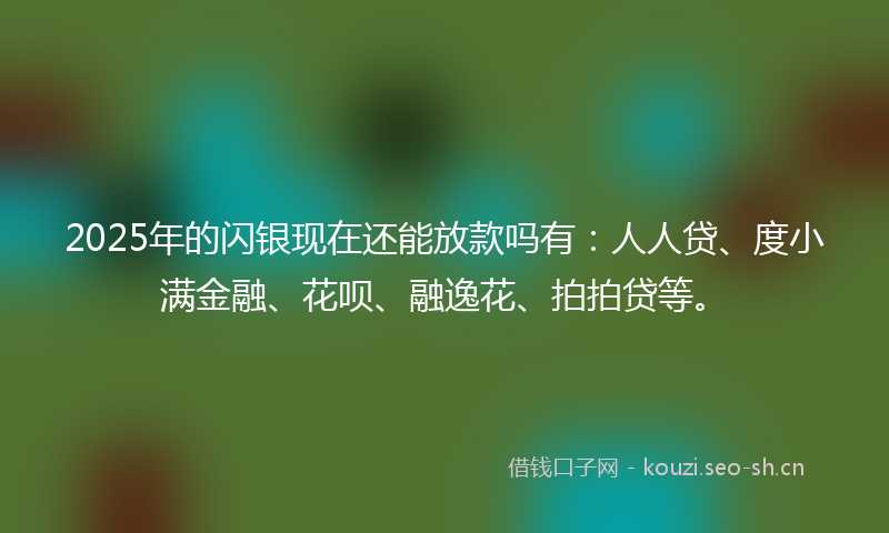2025年的闪银现在还能放款吗有：人人贷、度小满金融、花呗、融逸花、拍拍贷等。