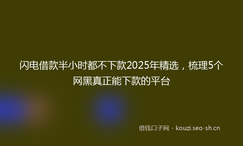 闪电借款半小时都不下款2025年精选，梳理5个网黑真正能下款的平台