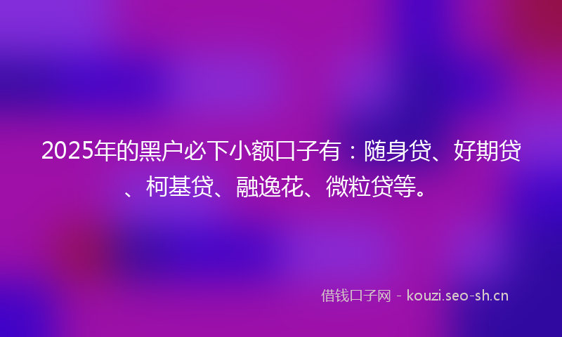 2025年的黑户必下小额口子有:随身贷、好期贷、柯基贷、融逸花、微粒贷等。