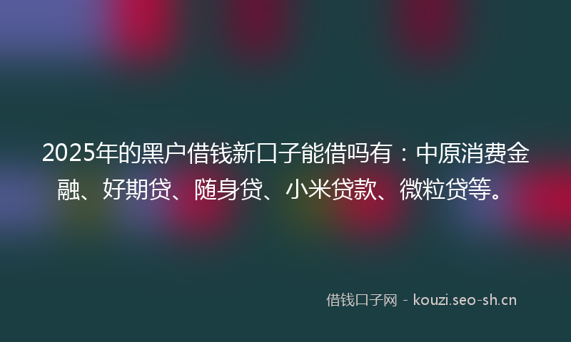 2025年的黑户借钱新口子能借吗有:中原消费金融、好期贷、随身贷、小米贷款、微粒贷等。
