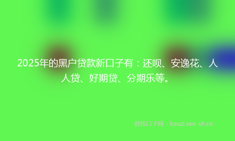 2025年的黑户贷款新口子有：还呗、安逸花、人人贷、好期贷、分期乐等。