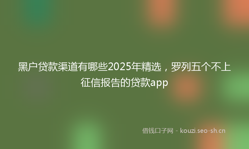 黑户贷款渠道有哪些2025年精选，罗列五个不上征信报告的贷款app