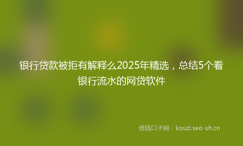 银行贷款被拒有解释么2025年精选，总结5个看银行流水的网贷软件