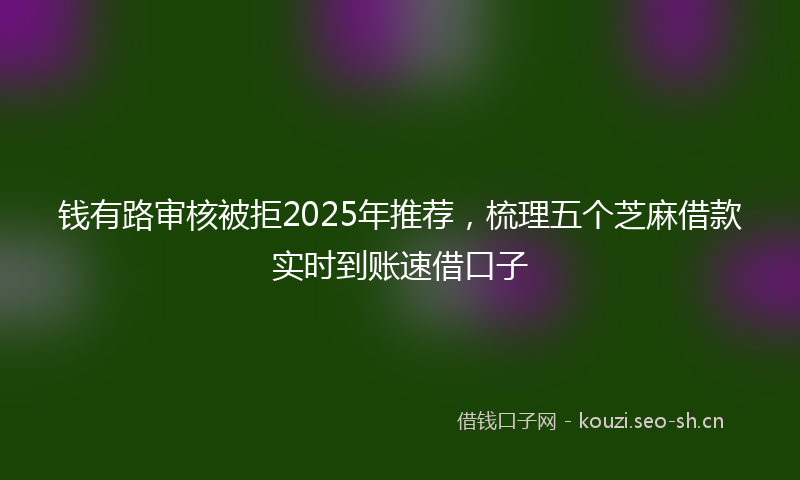 钱有路审核被拒2025年推荐，梳理五个芝麻借款实时到账速借口子