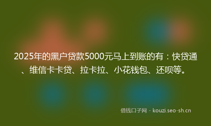 2025年的黑户贷款5000元马上到账的有：快贷通、维信卡卡贷、拉卡拉、小花钱包、还呗等。