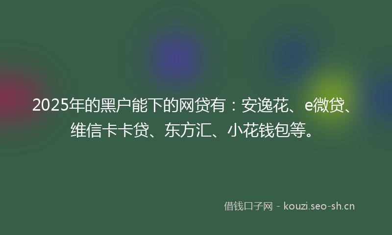 2025年的黑户能下的网贷有：安逸花、e微贷、维信卡卡贷、东方汇、小花钱包等。
