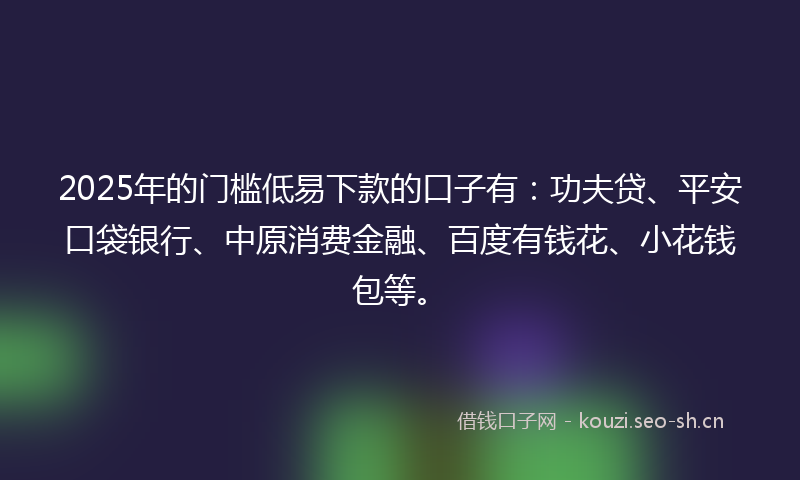 2025年的门槛低易下款的口子有：功夫贷、平安口袋银行、中原消费金融、百度有钱花、小花钱包等。