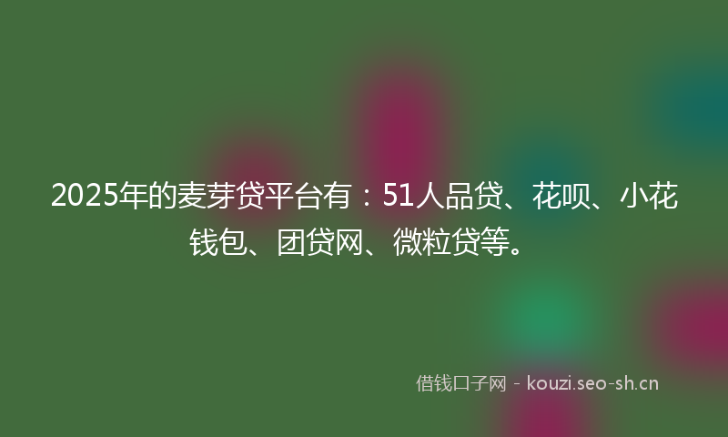 2025年的麦芽贷平台有：51人品贷、花呗、小花钱包、团贷网、微粒贷等。