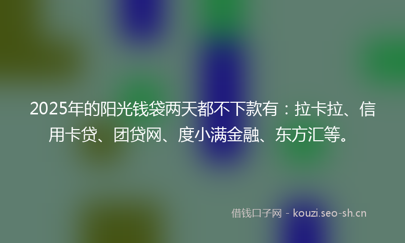 2025年的阳光钱袋两天都不下款有：拉卡拉、信用卡贷、团贷网、度小满金融、东方汇等。