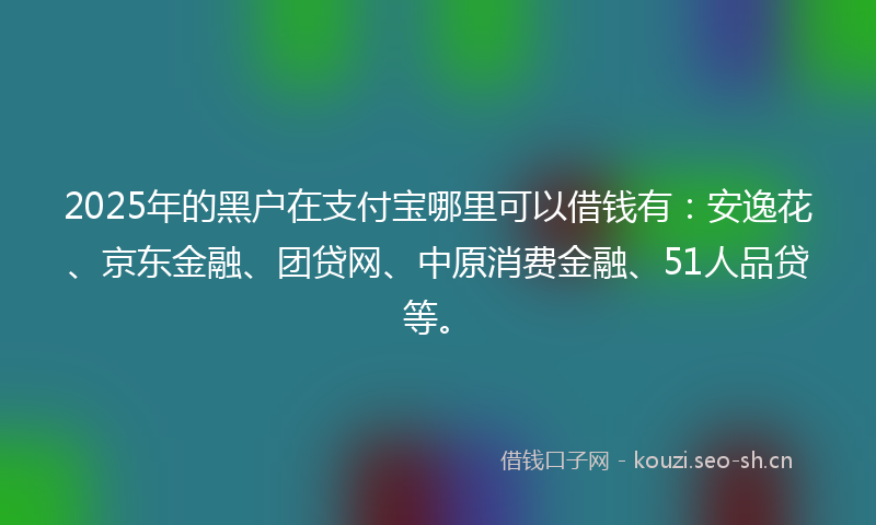2025年的黑户在支付宝哪里可以借钱有：安逸花、京东金融、团贷网、中原消费金融、51人品贷等。