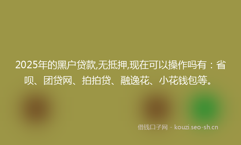 2025年的黑户贷款,无抵押,现在可以操作吗有：省呗、团贷网、拍拍贷、融逸花、小花钱包等。