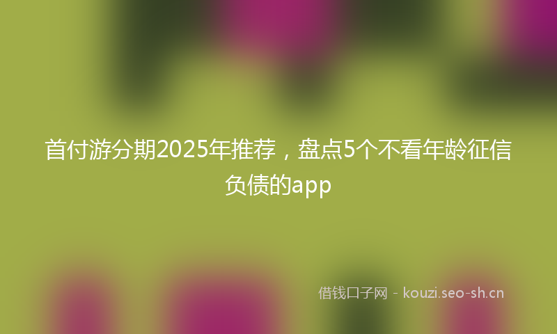首付游分期2025年推荐，盘点5个不看年龄征信负债的app