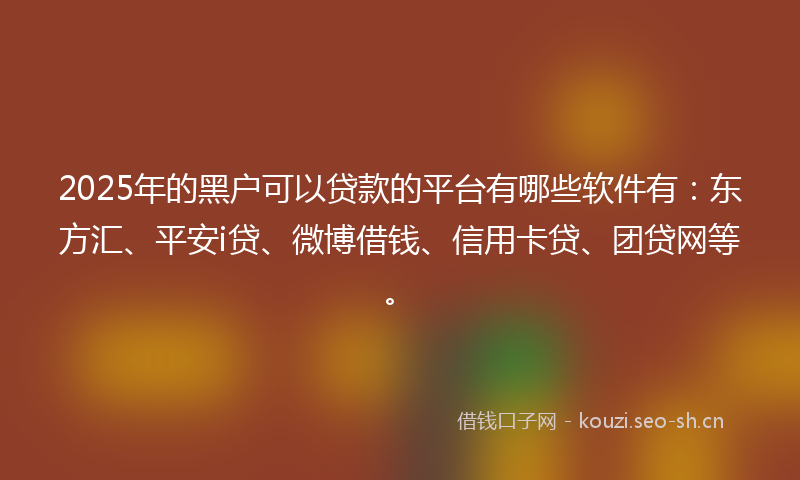 2025年的黑户可以贷款的平台有哪些软件有：东方汇、平安i贷、微博借钱、信用卡贷、团贷网等。